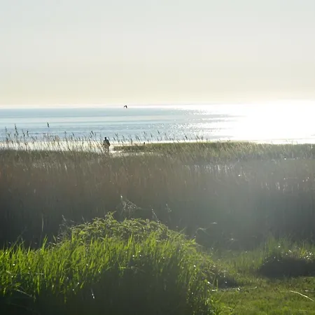 Korter Perka Kodumajutus *