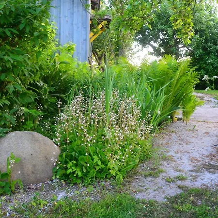 Pérka Kodumajutus Appartement