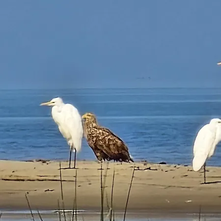 Perka Kodumajutus Korter