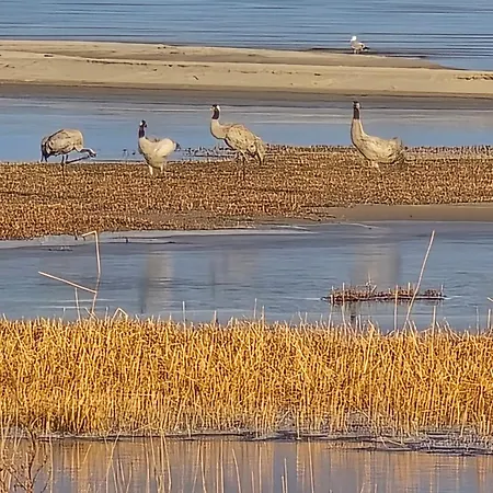 Perka Kodumajutus Apartman *