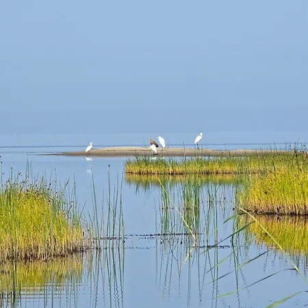 Korter Perka Kodumajutus *