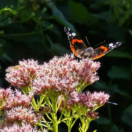Apartman Perka Kodumajutus Haademeeste