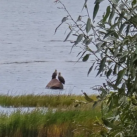 Perka Kodumajutus * Haademeeste