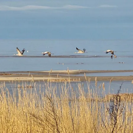 Perka Kodumajutus Apartman Haademeeste
