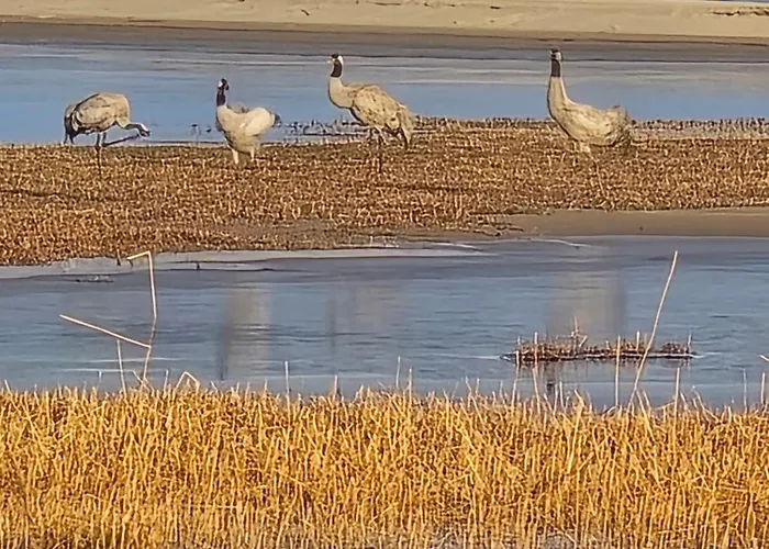 Perka Kodumajutus Apartman *