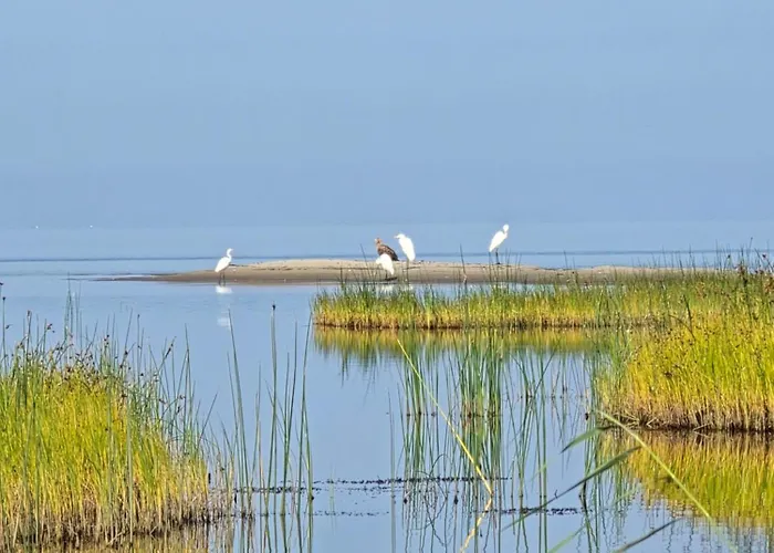 Apartman Perka Kodumajutus *