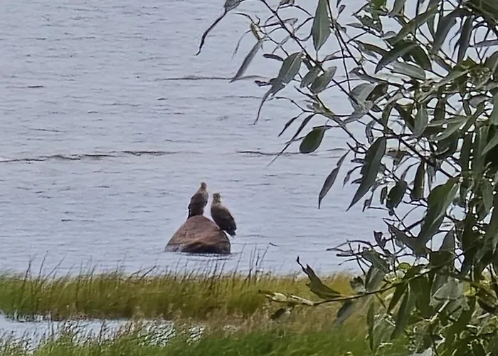 Perka Kodumajutus * Häädemeeste