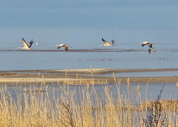 Perka Kodumajutus Apartman Häädemeeste